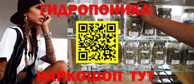 стаф Усть-Илимск
