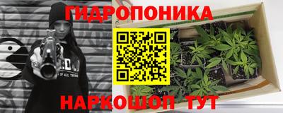 стаф Усть-Илимск